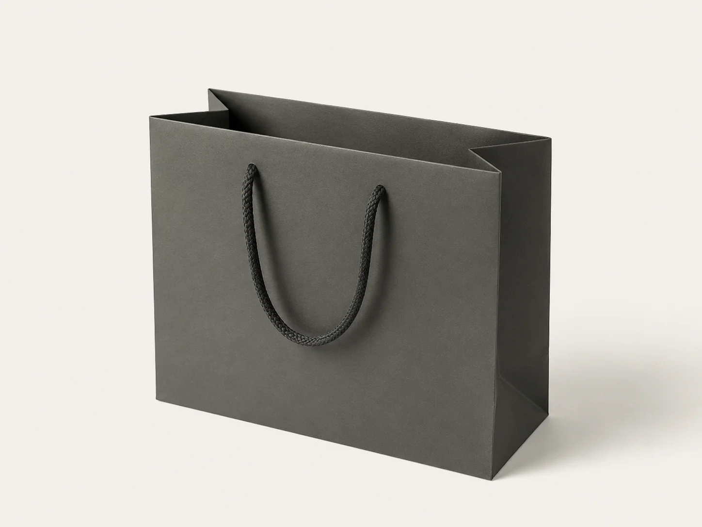 Electronics Paper Bags