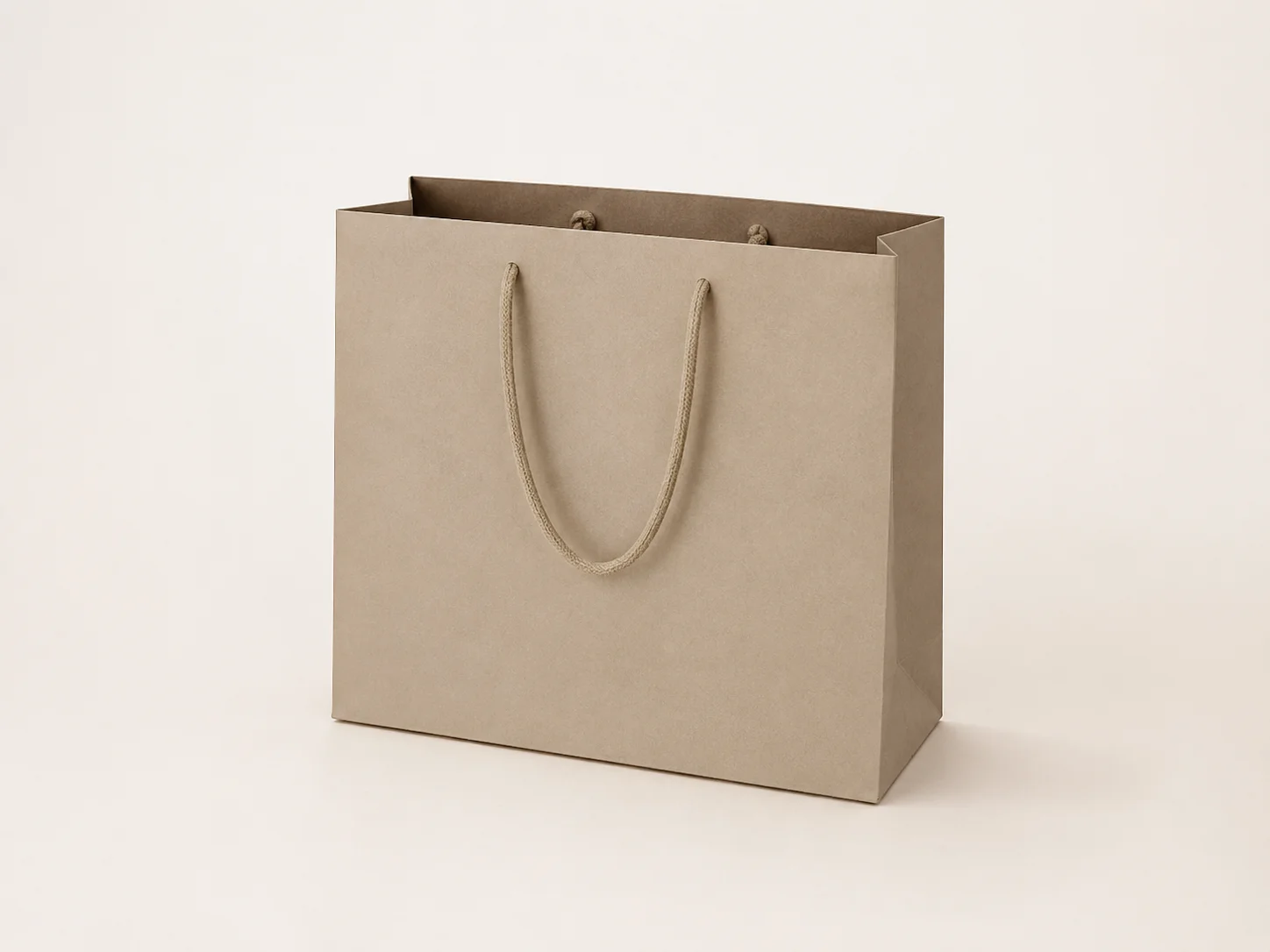 Retail Shopping Paper Bags