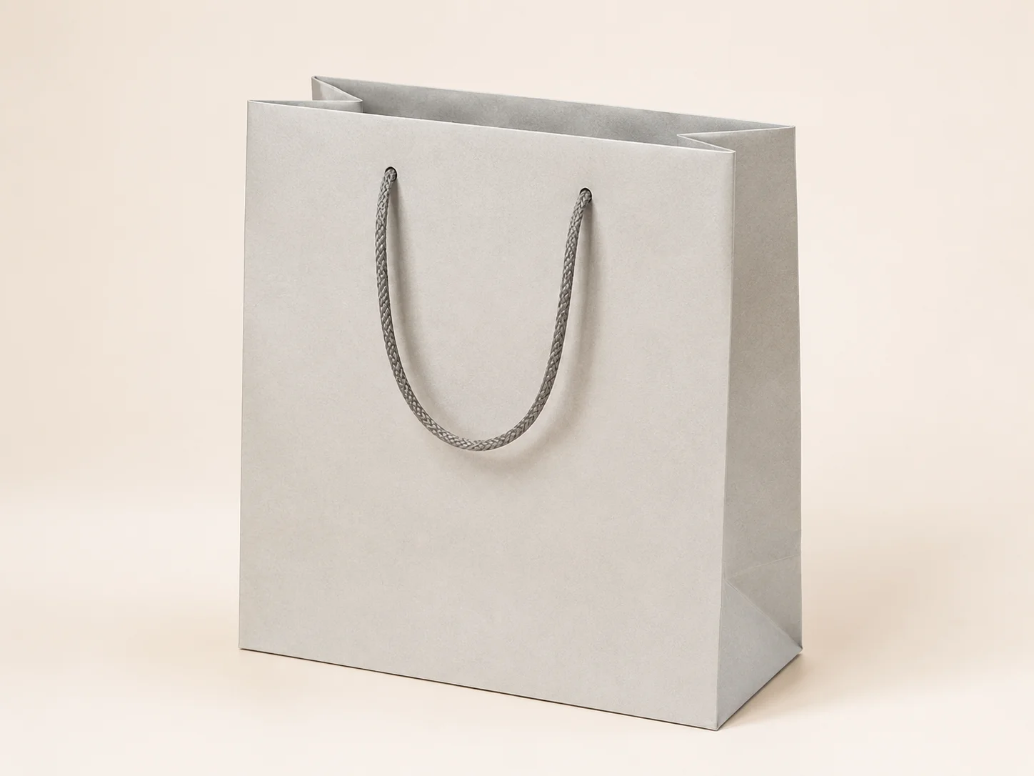 Shopping Paper Bags